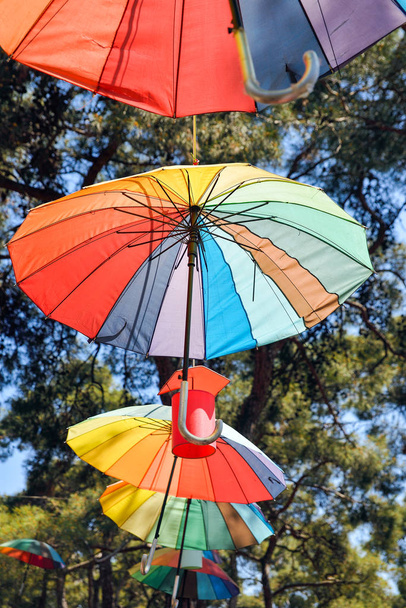 Зонты в парке
 - Фото, изображение