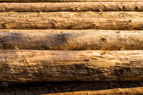 Peeled logs lying in piles on the ground on a sunny day. - 写真・画像