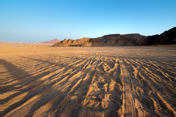 View on desert - Photo, Image