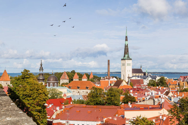 エストニアのタリンの街並み - 写真・画像