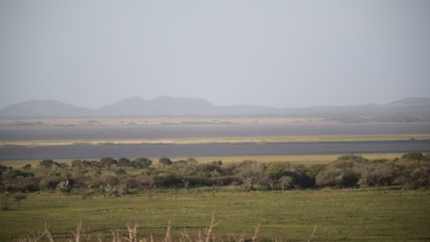 malebné záběry Tsitsikamma rezervy v Jižní Africe - Záběry, video
