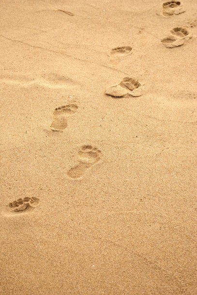 Zomer zee, diagonale lijn van menselijke voetafdrukken op de kustlijn, het concept voor de zomer, vakantie, vrije tijd met een grote kopie ruimte op zand, verticale achtergrond - Foto, afbeelding