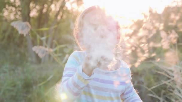 Cute little girl having fun blowing Dandelion seeds while relaxing at nature. - Video, Çekim