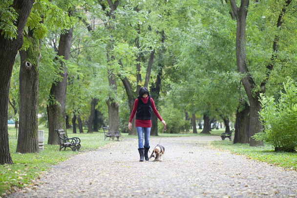 Jeune femme marchant avec son chien, foyer sélectif et petite profondeur de champ, fusée éclairante
 - Photo, image