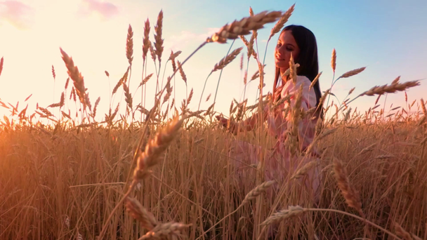fiatal lány mező búza - Felvétel, videó