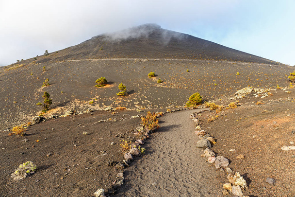 Paisagem vulcânica em La Palma, Ilhas Canárias
 - Foto, Imagem