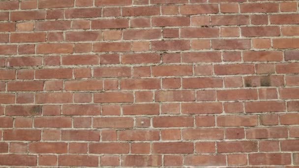 Közelkép a régi barna fal tégla - Felvétel, videó