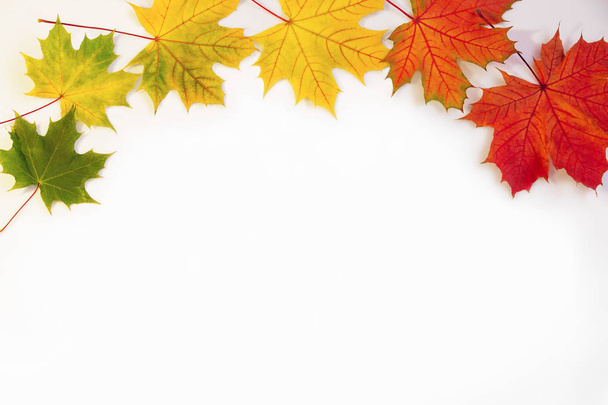 Autumn green, red, yellow maple leaves isolated on white background. You can add text - 写真・画像