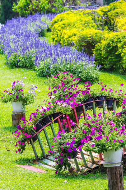 Flores e flor pote decoração em beleza aconchegante casa jardim de flores no verão. - Foto, Imagem