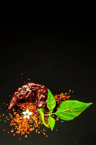 Chili pepper on black background.  Space under the text. Extra hot chili pepper Naga Bhut Jolokia Chocolate. Healthy spice. Sale Chili - Photo, Image
