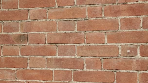 gros plan de vieux mur brun de briques
 - Séquence, vidéo