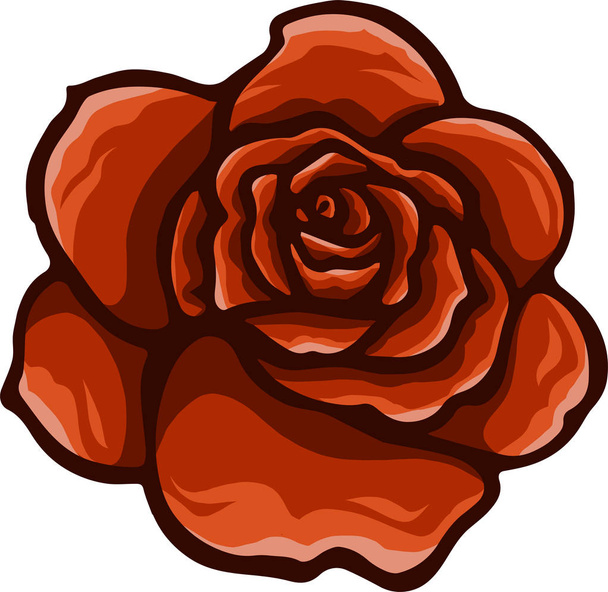 Red rose cartoon style on white background - Vettoriali, immagini