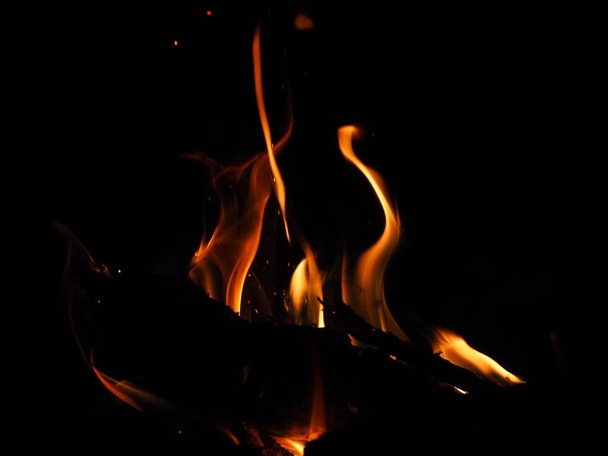 bonfire burning at night against starry night sky  - Fotó, kép