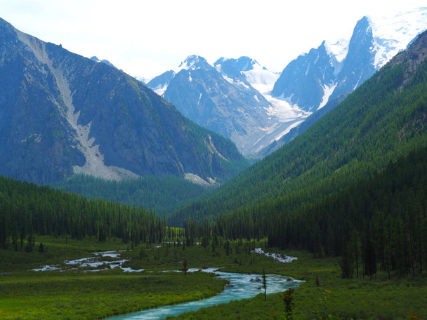 amazing landscape of Altai Mountains slopes covered with evergreen forest, Russia - Foto, immagini