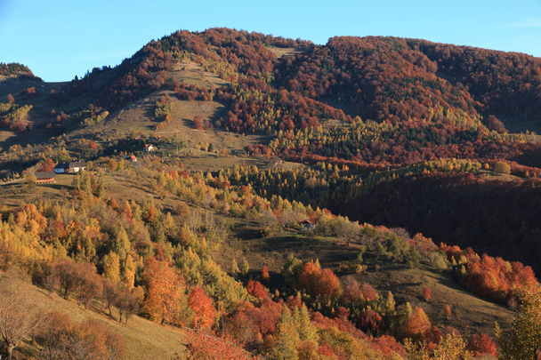 Avrupa, Romanya, Transilvanya, Karpatya Dağları, Magura, Piatra Craiului Ulusal Parkı. - Fotoğraf, Görsel