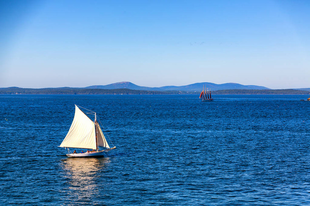 Two Sailboats near Bar Harbor - Zdjęcie, obraz