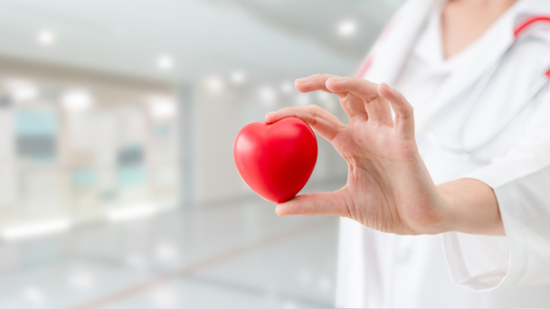 Doctor sosteniendo un corazón rojo en la oficina del hospital. Concepto de servicio de atención médica y personal médico
. - Foto, imagen
