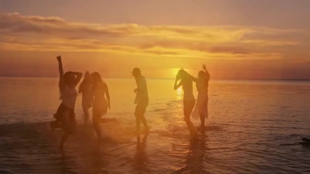 Велика група щасливих друзів розважається і стрибає у воду проти заходу сонця
 - Кадри, відео