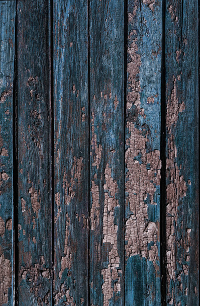Vintage painted wooden background texture of wooden weathered rustic wall with peeling paint. Empty space for copy old wood texture. Cracked paint with lots of small cracks, abstract grunge texture - Photo, Image