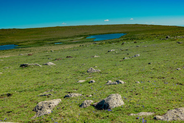 Zelená tráva na horské louce v Artvinu v Turecku - Fotografie, Obrázek