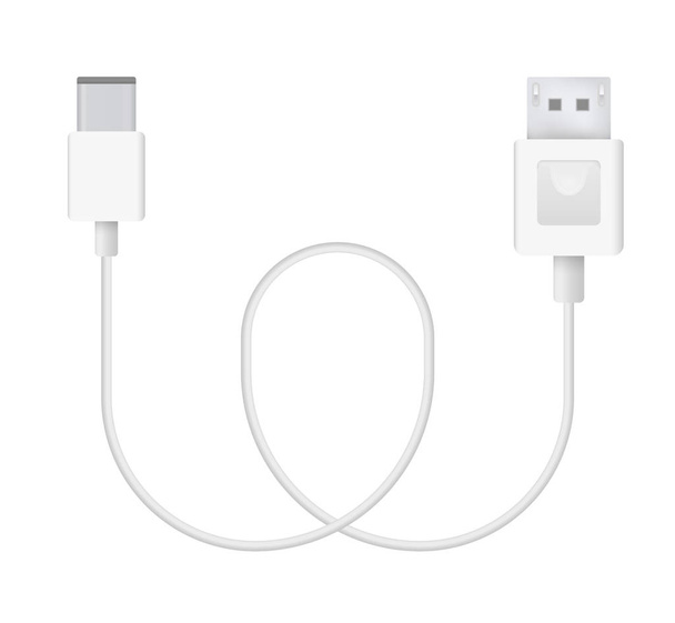 The realistic vector illustration of USB Type-c to Display Port cable. Connector or plug for connecting and charging phones, mobile devices, computers, tv, tablets, and game consoles. - Vector, Image