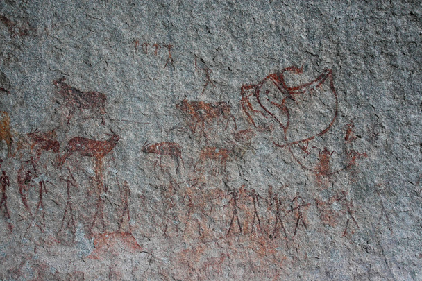 Бушмени рок-малювання фігури людини та антилопи, жирафа, Matopos Національний парк, Зімбабве - Фото, зображення