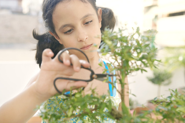 Retrato de una joven concentrada en cortar un árbol de bonsái
 - Foto, Imagen
