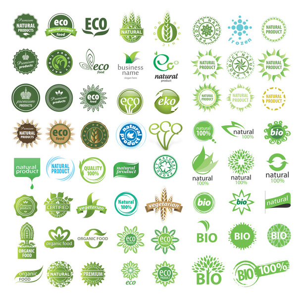 eine Reihe umweltfreundlicher, natürlicher und biologischer Etiketten. - Vektor, Bild