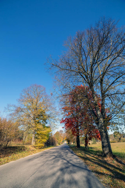 Φθινοπωρινή σκηνή δρόμος με δέντρα. - Φωτογραφία, εικόνα