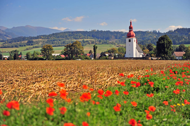 Prachtig natuurlandschap met kapel in het veld, Slowakije - Foto, afbeelding