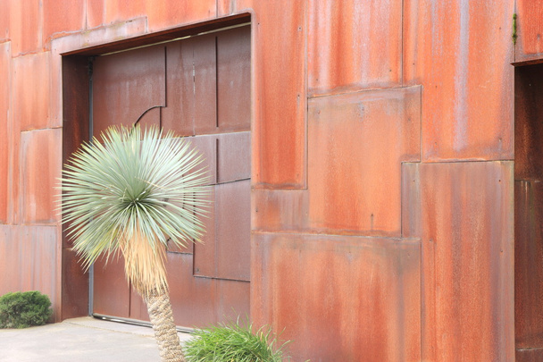 Palmier dans la façade
 - Photo, image