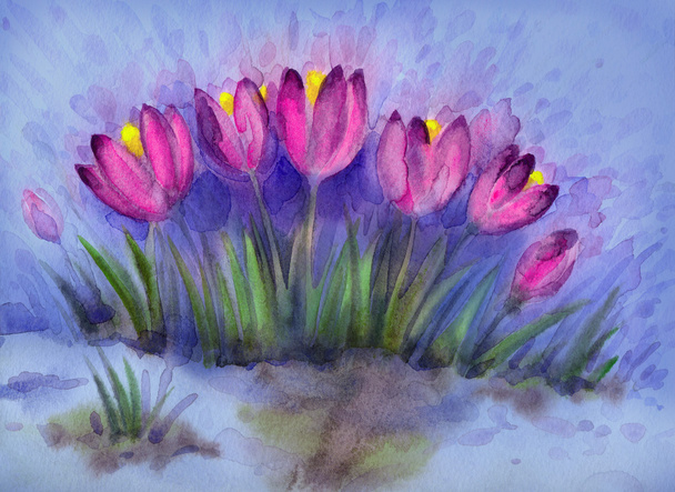 Aquarell Hintergrund der frühen Frühlingsblumen. Krokus - Foto, Bild