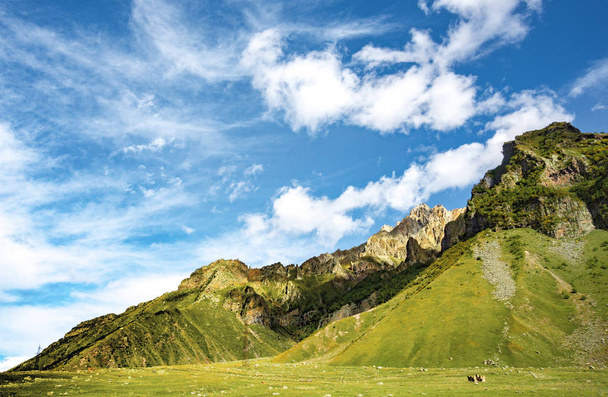 summer mountains green grass and blue sky landscape - Photo, Image