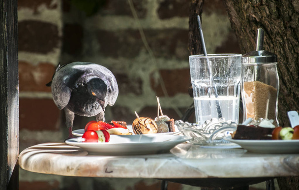 最後のお客様の食べ物から残っている生意気な鳩をレストランのテーブルから食べ物を食べる - 写真・画像