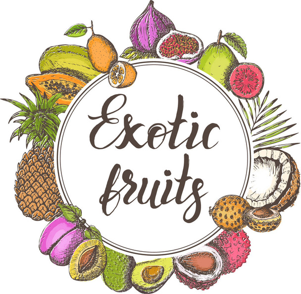 Vector illustration, set of hand drawn colorful exotic fruits with inscription - Vektor, Bild
