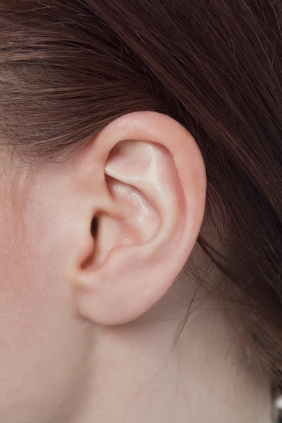 909 lidské ucho - Fotografie, Obrázek