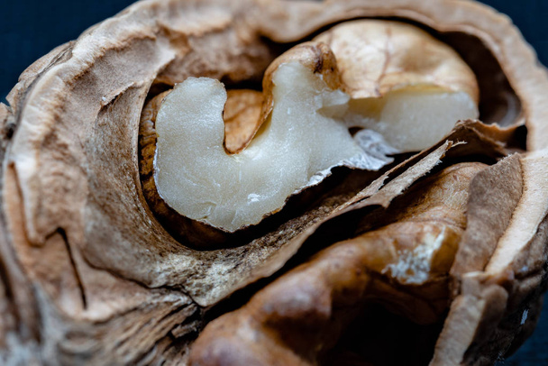 Up close macro view of a cracked walnut. - Photo, Image