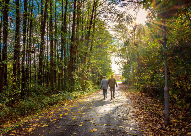 Pareja de ancianos caminando de la mano a través de dosel de árboles en Gotemburgo sueco con sol mirando a través de las hojas
 - Foto, imagen
