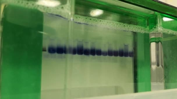 Electrophoresis. Scientific experiment in biochemistry, biotechnology or molecular biology. Separation technique of proteins and other molecules. - Footage, Video