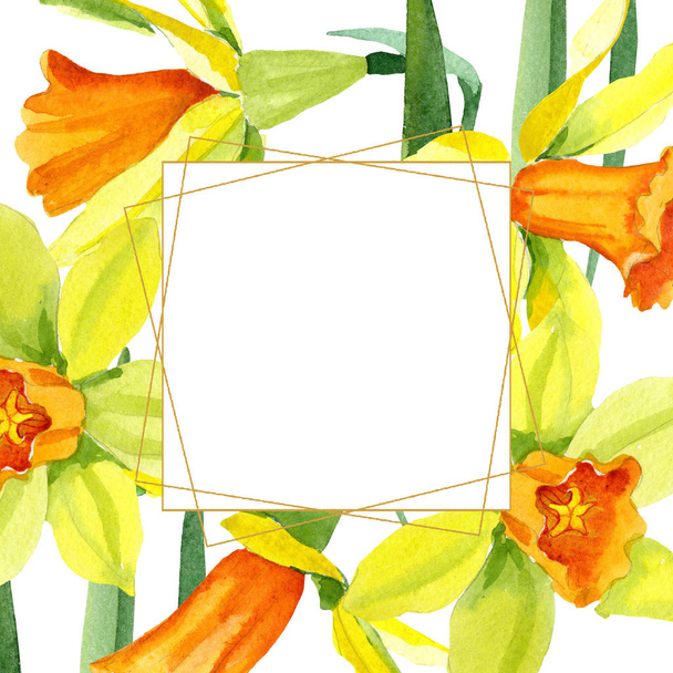 Aquarel gele narcis bloem. Floral botanische bloem. Frame grens ornament vierkant. - Foto, afbeelding