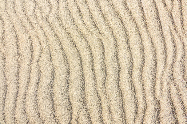 Absztrakt háttér textúra egy homokdűne sorok - Fotó, kép