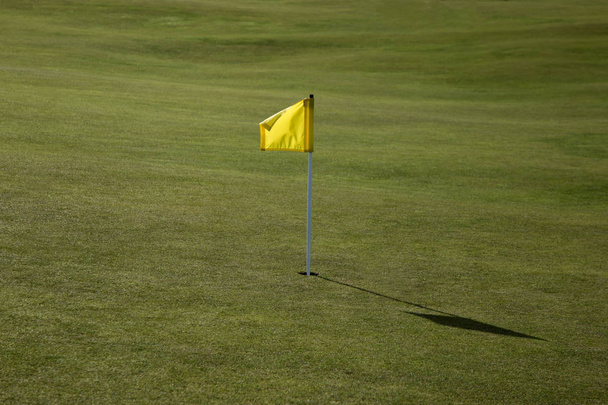 Желтый флаг на поле для гольфа
 - Фото, изображение