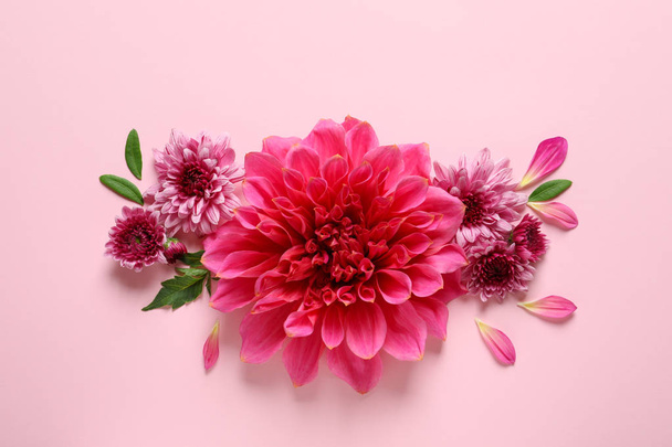 Flat lay composition with beautiful dahlia flowers on color background - Foto, imagen