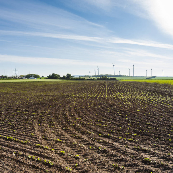 gepflügte Felder in der österreichischen Landschaft mit modernen Windrädern zur Energiegewinnung - Foto, Bild