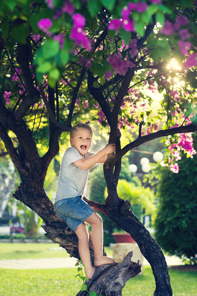 Outdoor portrait of funny boy on the tree - Foto, afbeelding