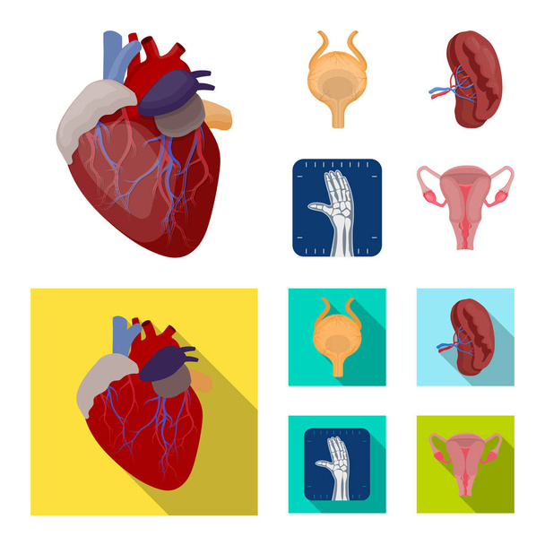 Vector illustration of body and human symbol. Collection of body and medical stock symbol for web. - Vektor, Bild