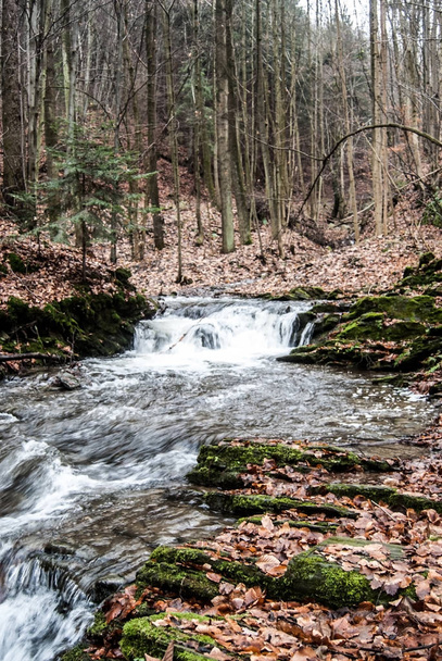 rio eild com pequenas cachoeiras e corredeiras na floresta de outono - rio Teplicka perto da cachoeira Pasecky vodopad nas montanhas Nizky Jesenik perto da cidade de Sternberk, na República Checa
 - Foto, Imagem