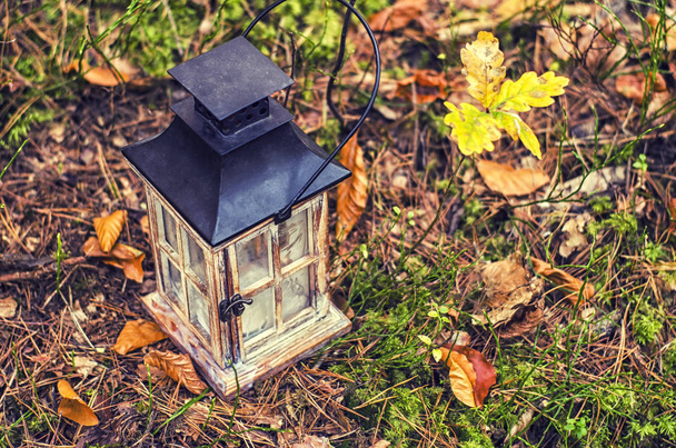 Orman arka plan üzerinde Ahşap dekoratif el feneri. Bir sonbahar mevsimlik fotoğraf. - Fotoğraf, Görsel
