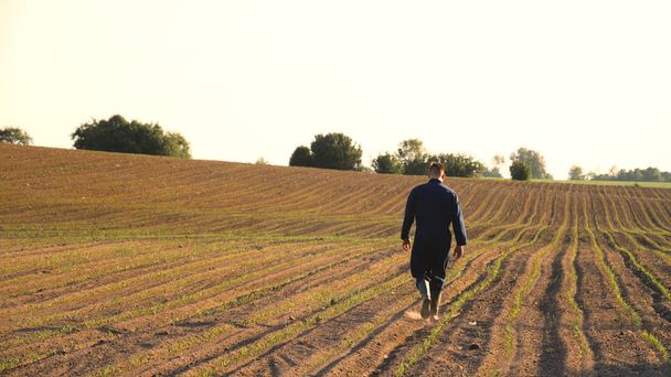 A young farmer in a blue robe walks the field looking at planted plants. Concept: clean air, bio, agriculture. - Foto, Imagem