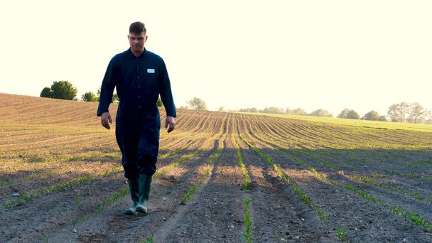 A young farmer in a blue robe walks the field looking at planted plants. Concept: clean air, bio, agriculture. - Photo, Image